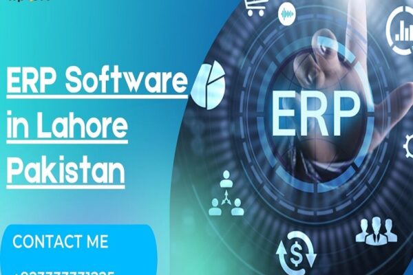 How Can an ERP Software in Lahore Pakistan Super-Boost Business Productivity?