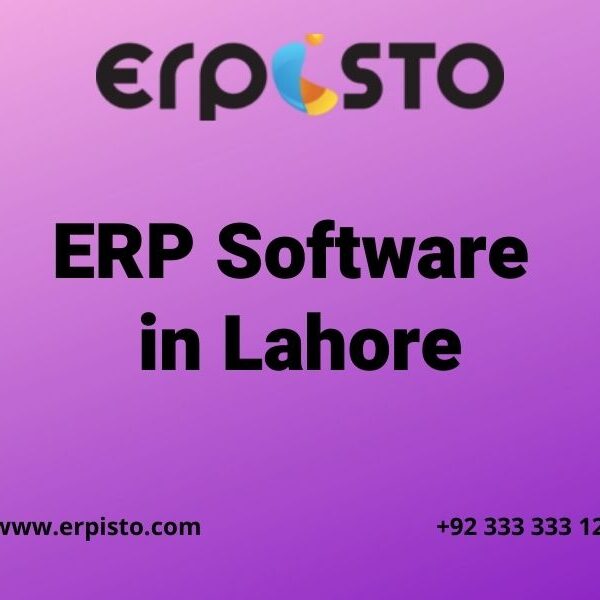 How do ERP software in Lahore and Accounting software help in Management Processes?