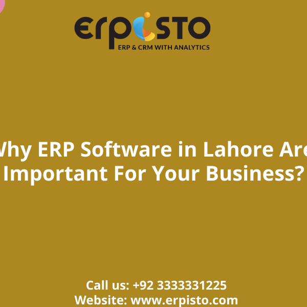 Why ERP Software in Lahore Are Important For Your Business?