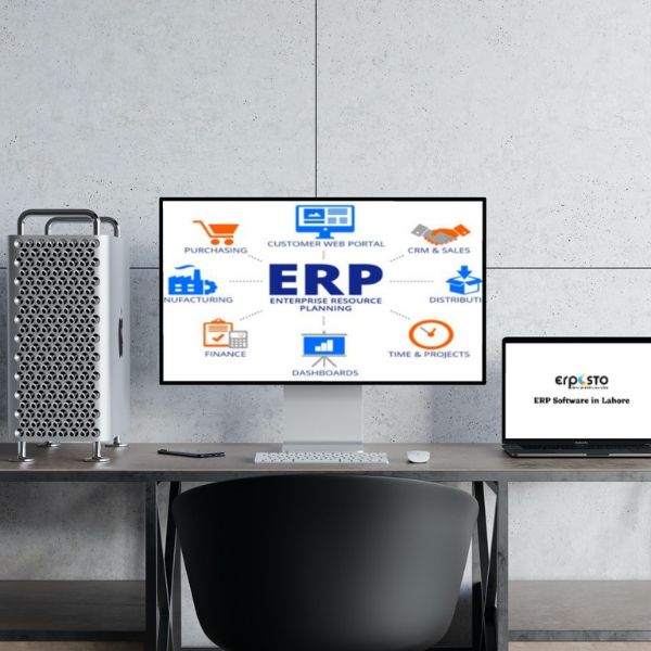 Identify & Resolve Business Issues with ERP Software in Lahore Pakistan
