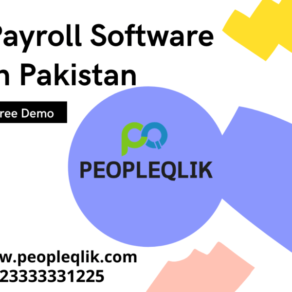Avoid 7 payroll risks with Payroll Software in Pakistan