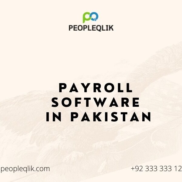 Best Payroll Software in Pakistan For Any Organization
