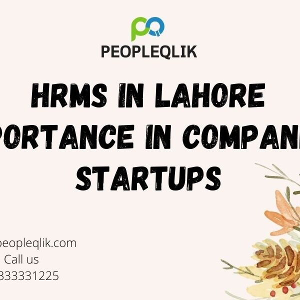 HRMS in Lahore Importance In Companies Startups