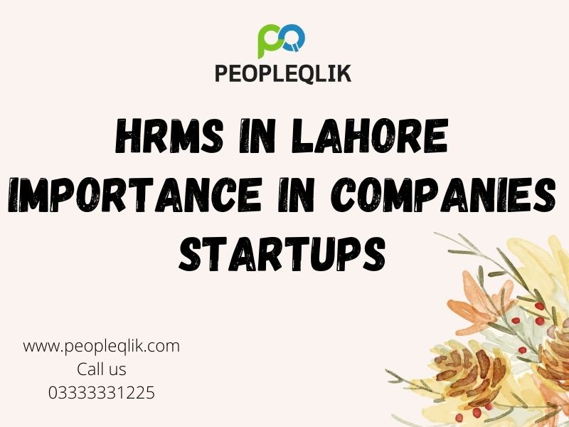 HRMS in Lahore Importance In Companies Startups