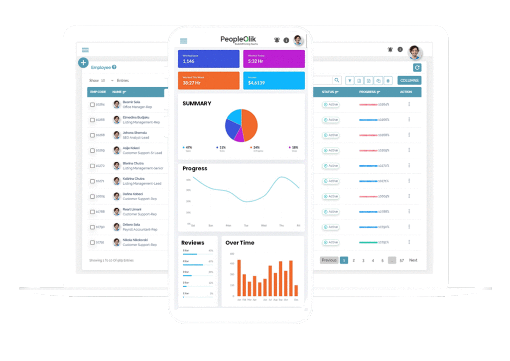 PeopleQlik - HR Payroll Performance Attendance solution system company