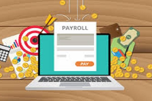 What are the usage of Payroll Software in Saudi Arabia?