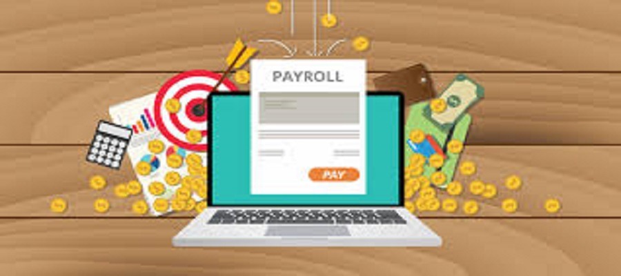 What are the usage of Payroll Software in Saudi Arabia?