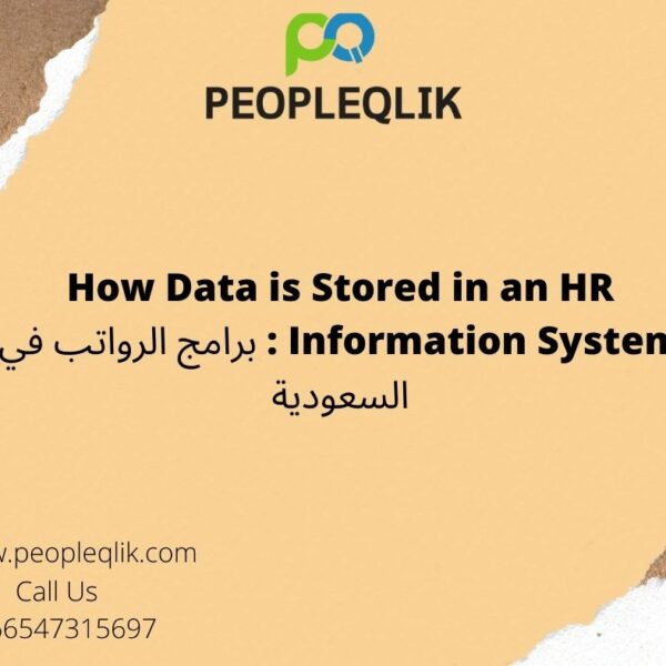 How Data is Stored in an HR Information System : برامج الرواتب في السعودية