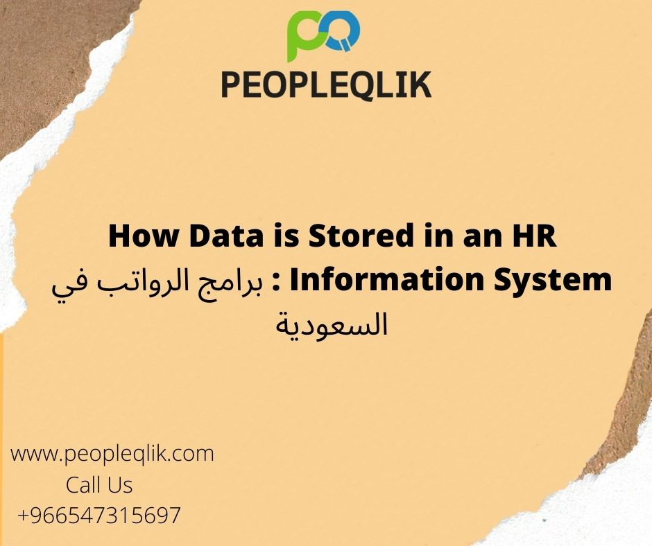 How Data is Stored in an HR Information System : برامج الرواتب في السعودية