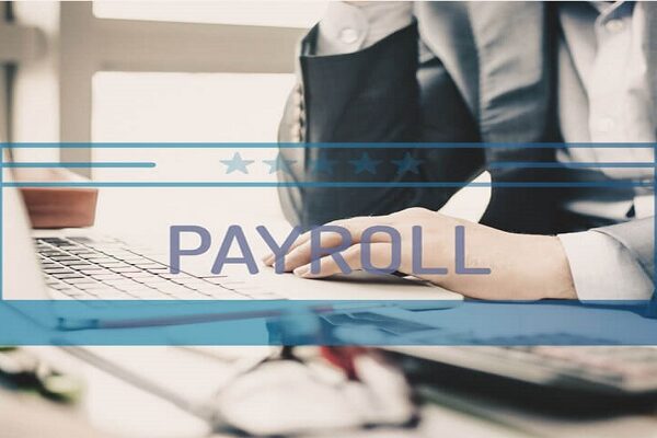 How Payroll Software  helps us in our basic needs?