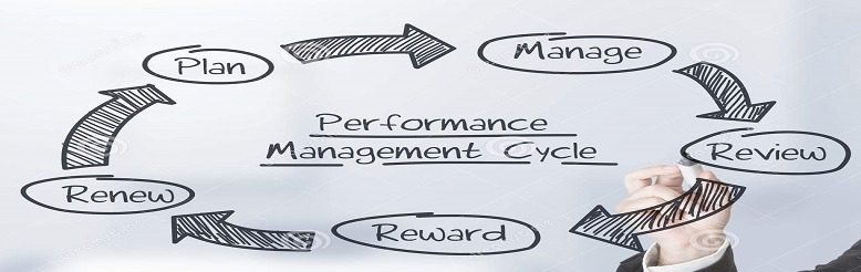 How Performance Management Software in Qatar helps in reviewing the poor performance of employees at the time of assessment?