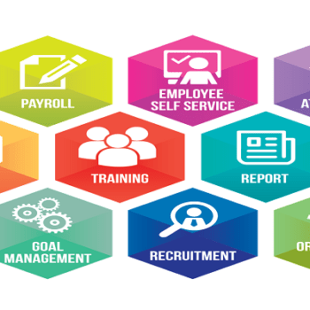 Top reasons for implementing right HR software
