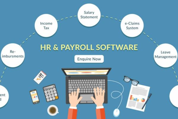 How Can You Strongly Grip On Your Business With The Help Of Our HR Payroll Software In Pakistan?